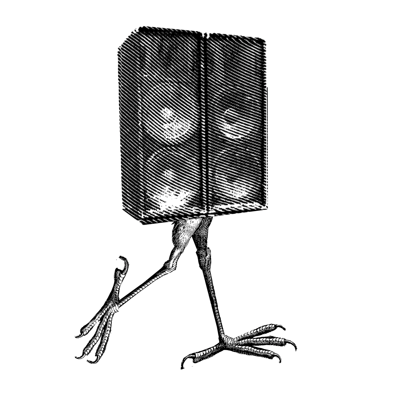 Kamelvogel_1500x1500